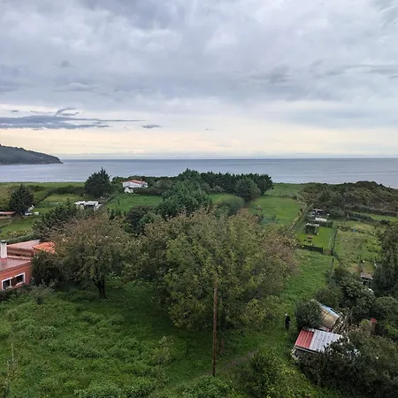 Aurrekoetxea 36 Vacation Tala 10 Apartment *